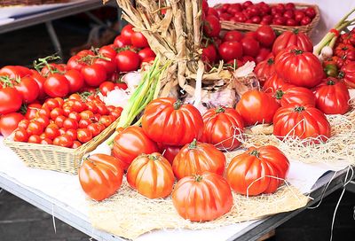 Tomatoes Download Jigsaw Puzzle