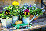 Gardening Download Jigsaw Puzzle