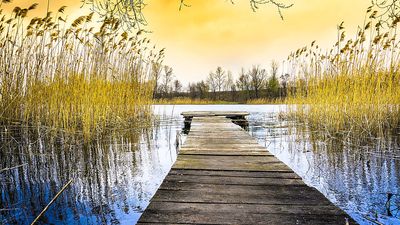 Lake Download Jigsaw Puzzle