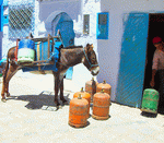 Donkey Download Jigsaw Puzzle