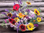 Flowers Download Jigsaw Puzzle