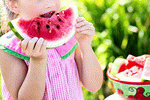 Watermelon Download Jigsaw Puzzle