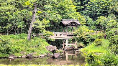 Bridge Download Jigsaw Puzzle