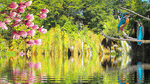 River Download Jigsaw Puzzle