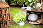 Still Life Download Jigsaw Puzzle