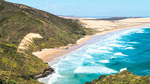 Beach, New Zealand Download Jigsaw Puzzle