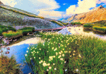 Lake, New Zealand Download Jigsaw Puzzle