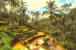 Bali Download Jigsaw Puzzle