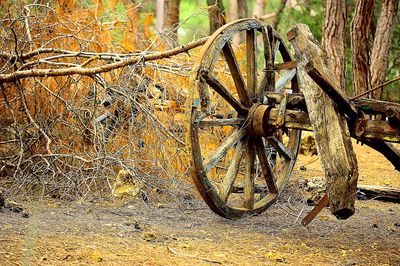 Wheel Download Jigsaw Puzzle