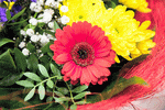 Bouquet  Download Jigsaw Puzzle