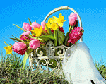 Bouquet Download Jigsaw Puzzle