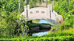 Bridge Download Jigsaw Puzzle