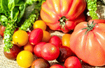 Tomatoes Download Jigsaw Puzzle