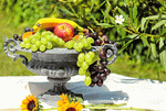 Fruit Bowl Download Jigsaw Puzzle