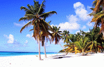 Beach, Dominika Download Jigsaw Puzzle