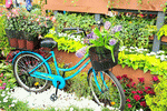 Garden Download Jigsaw Puzzle