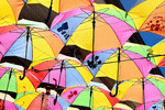 Umbrellas Download Jigsaw Puzzle