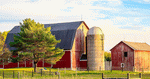 Farm Download Jigsaw Puzzle