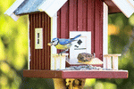 Birdhouse Download Jigsaw Puzzle