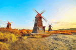 Windmills, Korea Download Jigsaw Puzzle