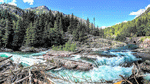 Rapids, Montana Download Jigsaw Puzzle