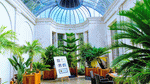 Solarium Download Jigsaw Puzzle