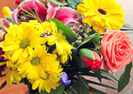 Flowers Download Jigsaw Puzzle