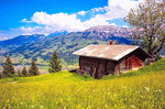 Mountain Cabin Download Jigsaw Puzzle