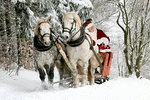 Sleigh Download Jigsaw Puzzle