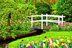 Wooden Bridge Download Jigsaw Puzzle