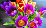 Tulips Download Jigsaw Puzzle