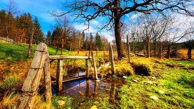 Creek, Germany Download Jigsaw Puzzle