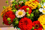 Flowers Download Jigsaw Puzzle