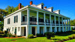 Plantation Download Jigsaw Puzzle