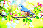 Bird Download Jigsaw Puzzle