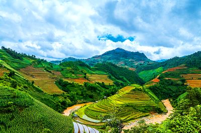 River, Vietnam Download Jigsaw Puzzle