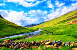 Stream, Turkey Download Jigsaw Puzzle