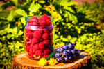 Fruit Download Jigsaw Puzzle