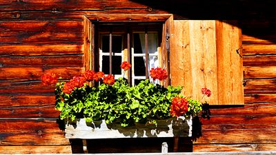 Window, Germany Download Jigsaw Puzzle