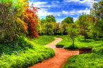 Park Path Download Jigsaw Puzzle