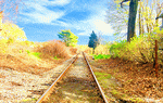 Tracks, Cape Cod Download Jigsaw Puzzle