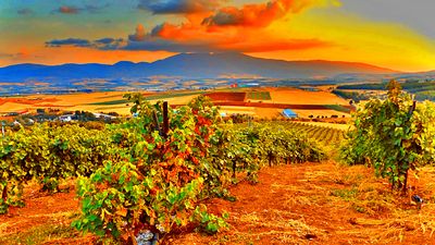 Vineyard, Greece Download Jigsaw Puzzle