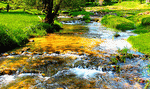 Stream, Virginia Download Jigsaw Puzzle