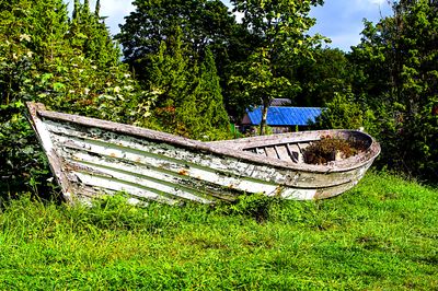 Boat Download Jigsaw Puzzle