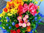 Flowers Download Jigsaw Puzzle