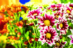 Flowers Download Jigsaw Puzzle