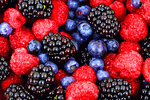 Berries Download Jigsaw Puzzle