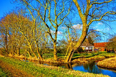 Creek Download Jigsaw Puzzle