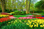 Park, Holland Download Jigsaw Puzzle