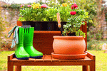 Gardening Download Jigsaw Puzzle